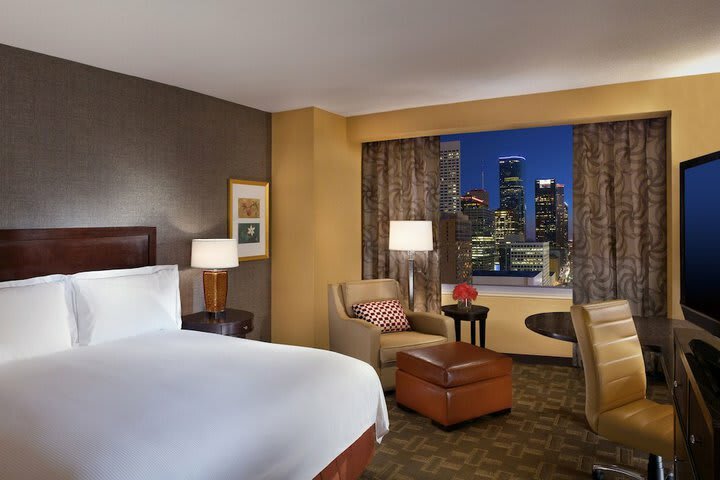Hotel Hilton Americas-houston