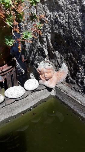 Hostal Maison Castaings