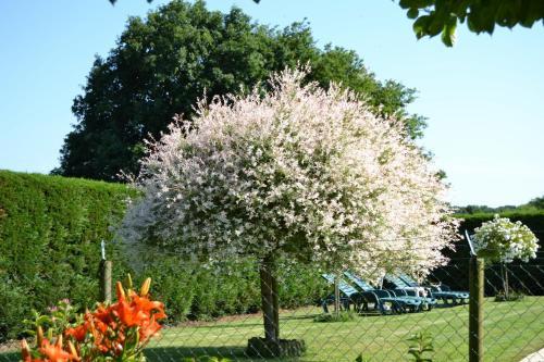 Bed & Breakfast La Roulais