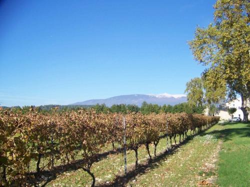 Bed & Breakfast Le Leyrac