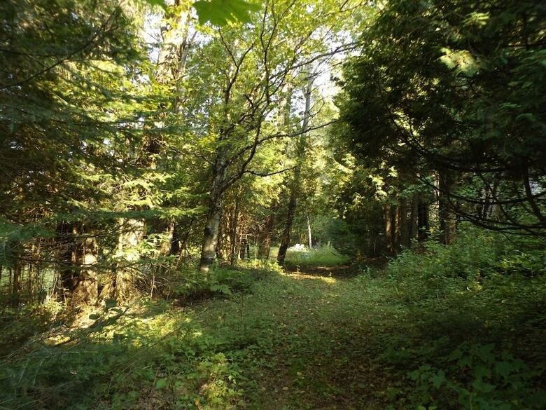 Le Domaine de L'�tang