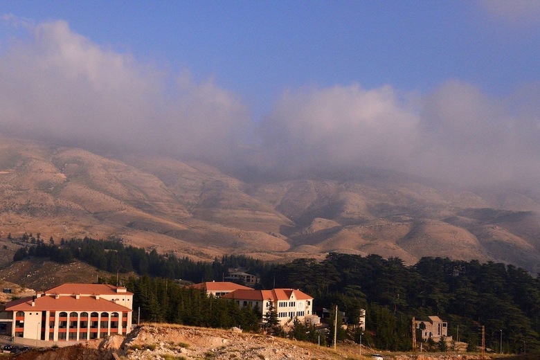 Mountain View Cedars