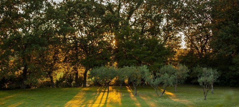 Bed & Breakfast Domaine de Fos