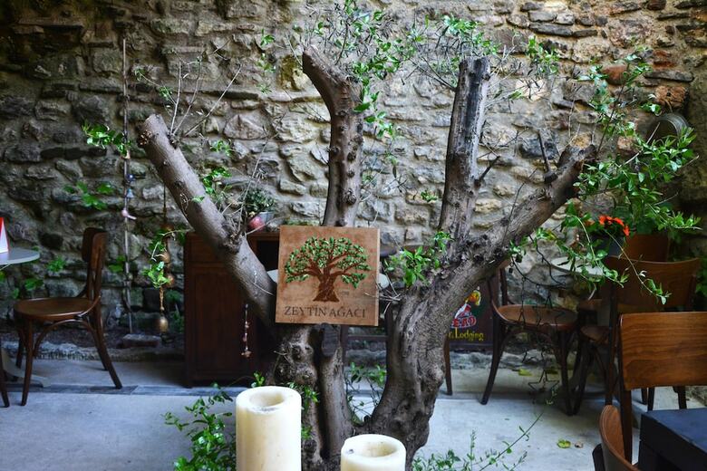 Bed & Breakfast Zeytin Agaci Hotel