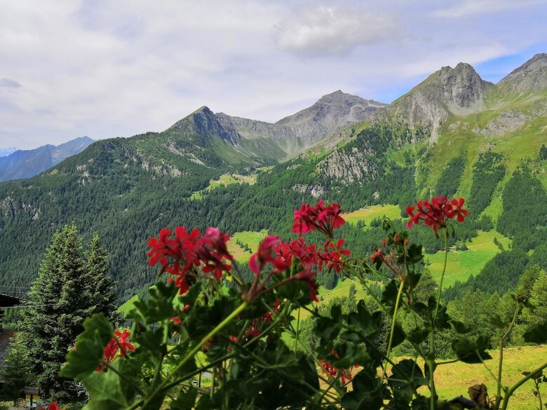 Posada Rifugio Guide Frachey