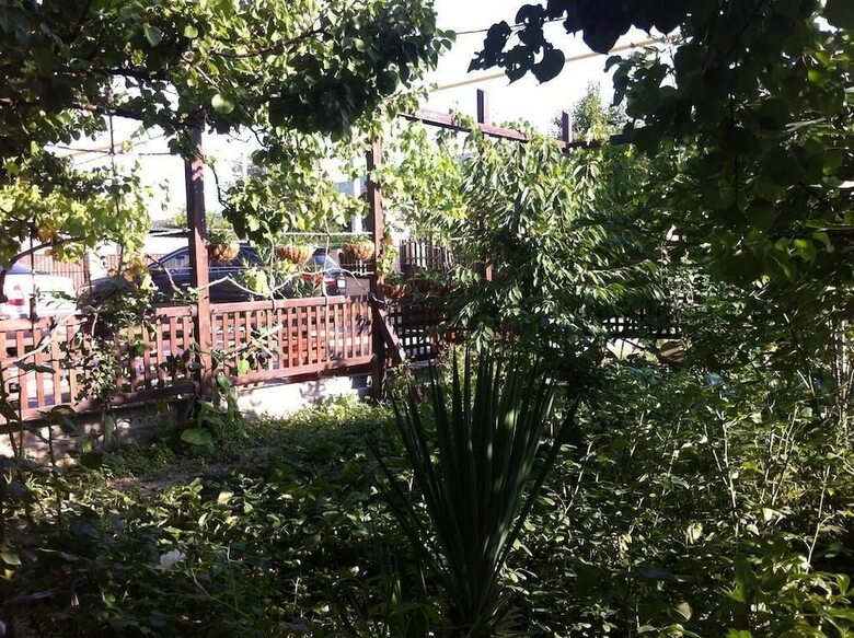 Hotel Sadorini Guest House