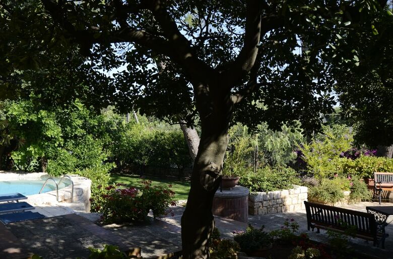 B&B Amoredimare