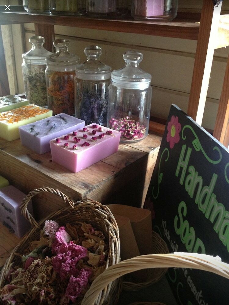 Cabana Green Cart Farm