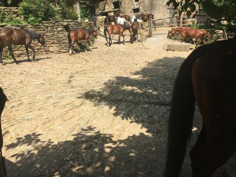 Agroturismo Centro Trekking A Cavallo Monte Brugiana
