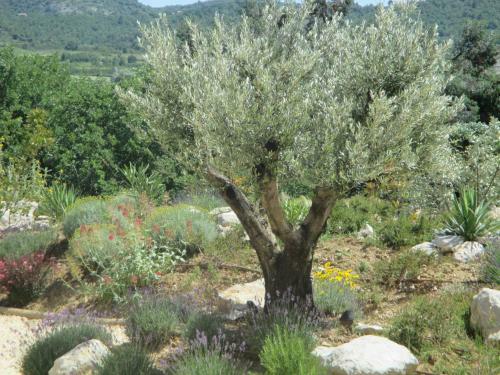 Hostal Chambres D'h�tes Le Mas De Molines