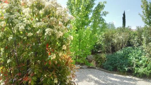 Hostal Chambres D'h�tes Le Mas De Molines