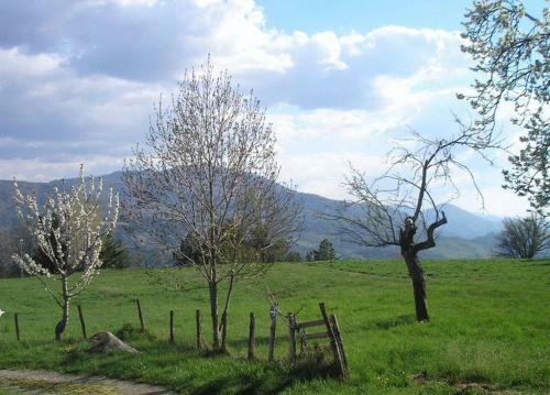 Hotel H�tel La Pastorale