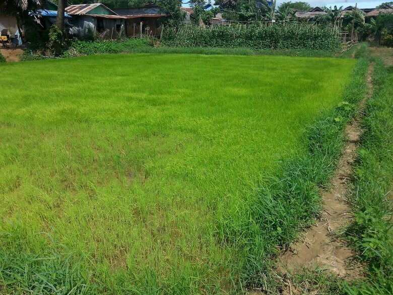 Hotel Ngwe Saung Garden Guest House