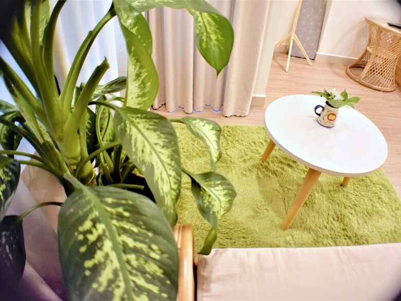 Apartamentos Ao Homestay