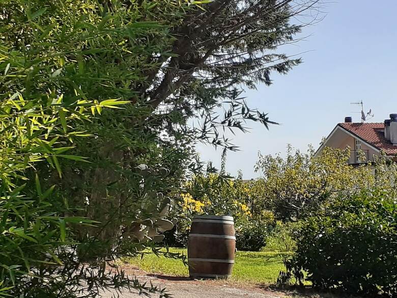 Pier Delle Vigne B&B