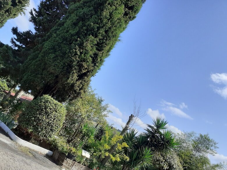 Pier Delle Vigne B&B