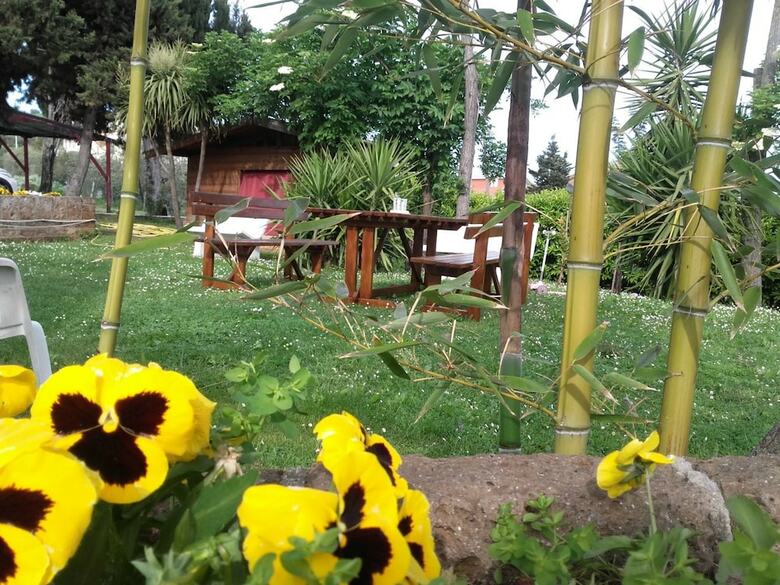 Pier Delle Vigne B&B