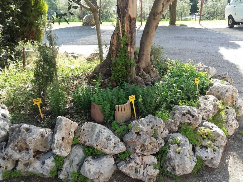 Pier Delle Vigne B&B