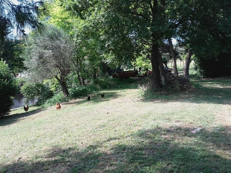 Pier Delle Vigne B&B