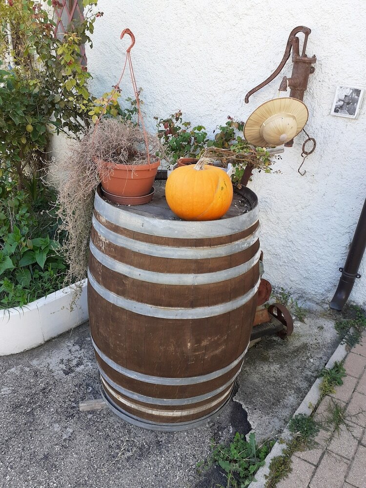 Pier Delle Vigne B&B