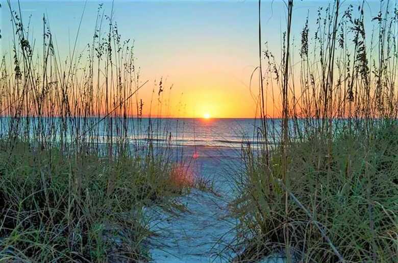 Tropical Beach Escape 3110