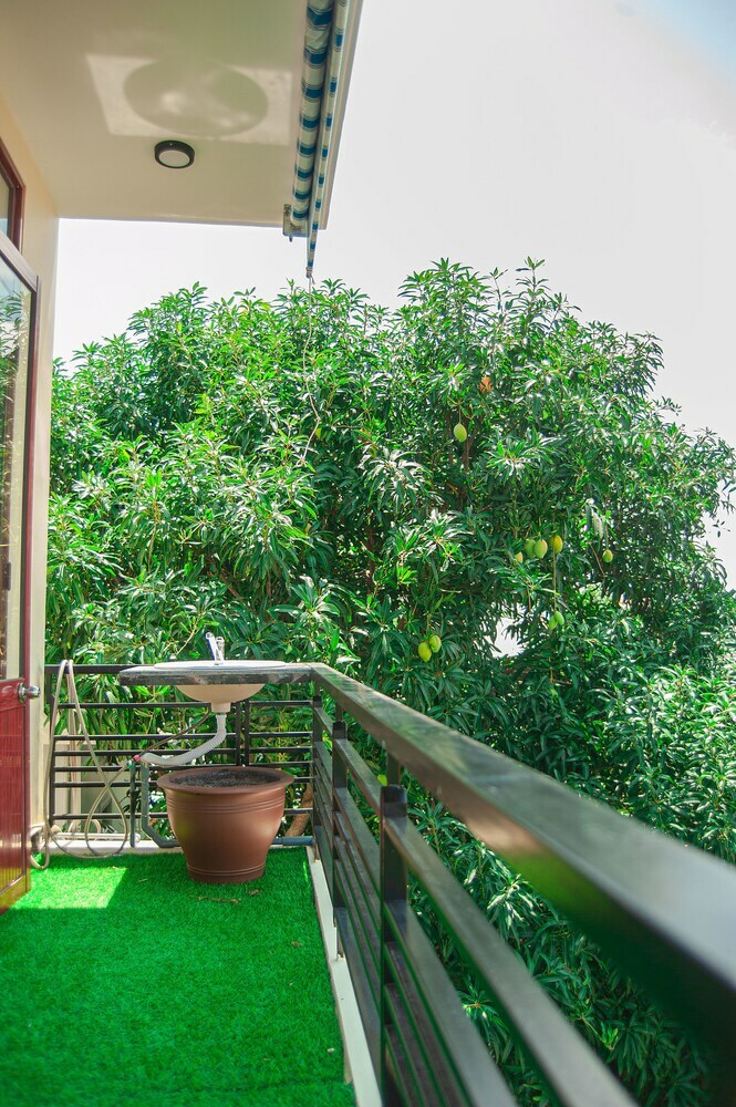 Hotel Golden Soulmate Homestay