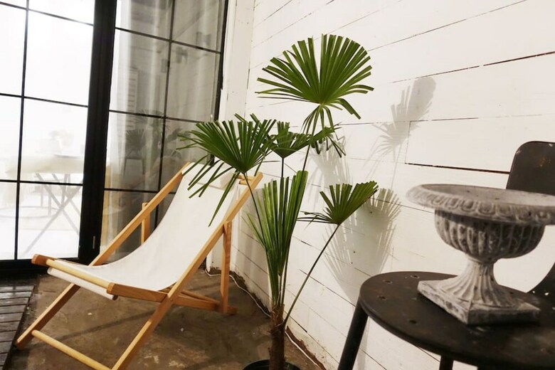 Apartamentos Rice Vintage House With Private Yard