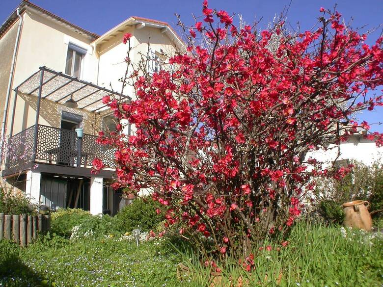 Bed & Breakfast L'agapanthe