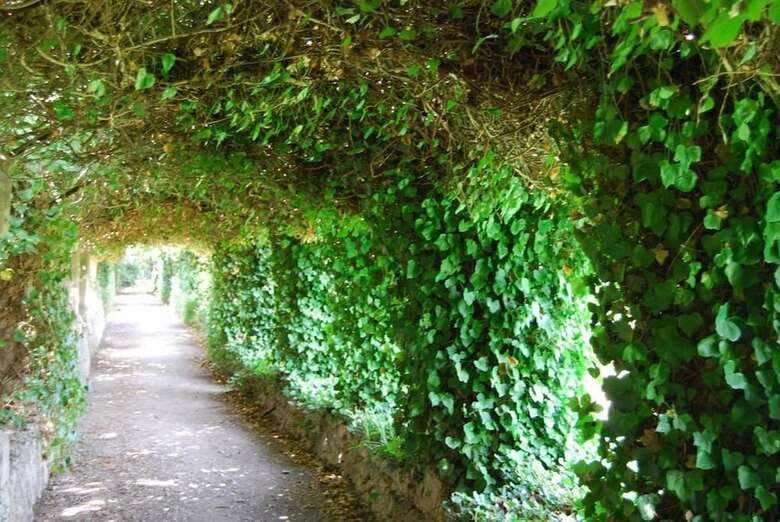 Agroturismo Finca Son Vivot
