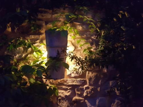 Hostal La Buissonniere & Brasserie