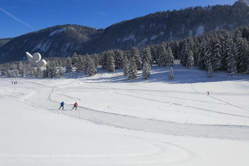 Apartamento Ch�teau De Thorens