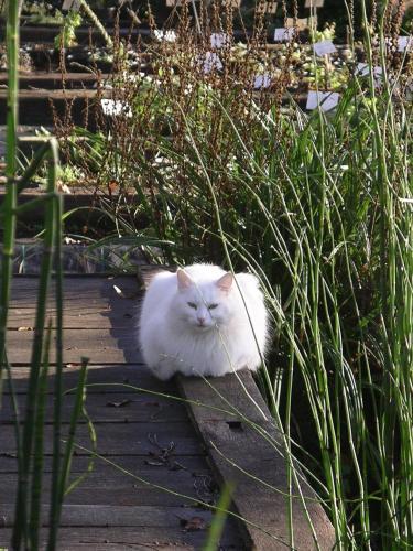 G�tes Du Jardin Francais