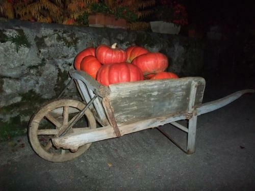 Hostal Domaine Du Grand Cellier - Insolite