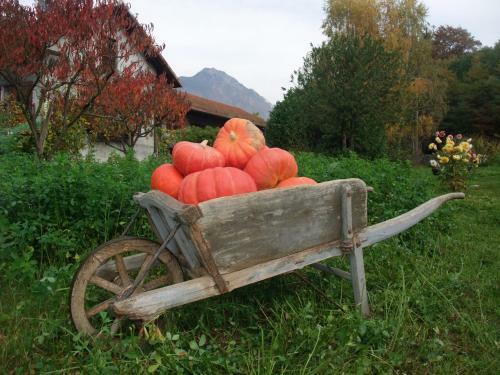 Bed & Breakfast Le Domaine Du Grand Cellier - Chambres D'h�tes
