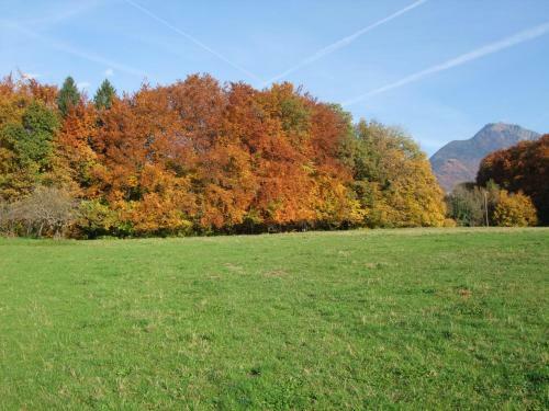 Bed & Breakfast Le Domaine Du Grand Cellier - Chambres D'h�tes