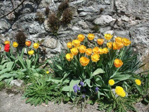 Bed & Breakfast Le Domaine Du Grand Cellier - Chambres D'h�tes