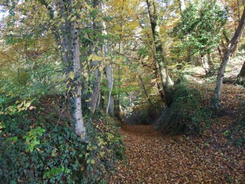 Bed & Breakfast Le Domaine Du Grand Cellier - Chambres D'h�tes