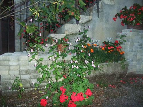 Bed & Breakfast Le Domaine Du Grand Cellier - Chambres D'h�tes