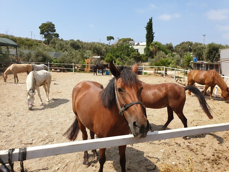 Patara Caretta Hotel