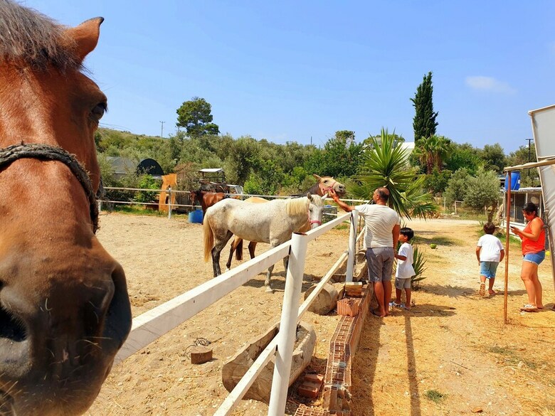 Patara Caretta Hotel