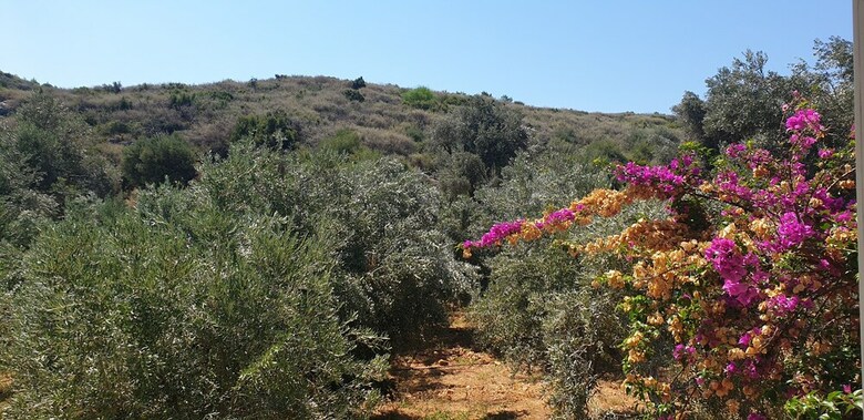 Patara Caretta Hotel