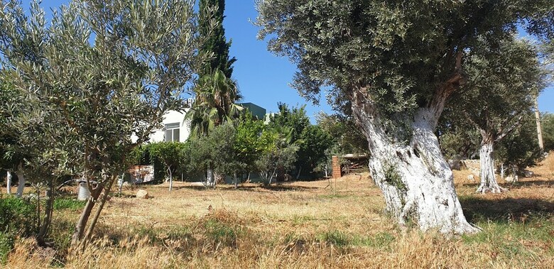 Patara Caretta Hotel