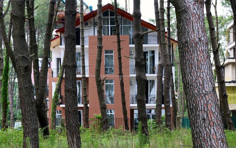 Bed & Breakfast Gina Shekvetili