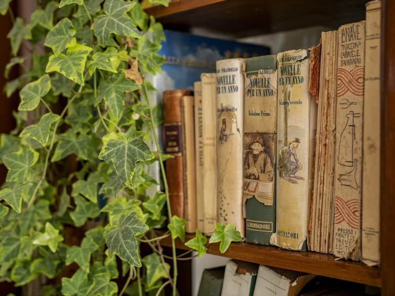 Bed & Breakfast La Casa Delle Stagioni