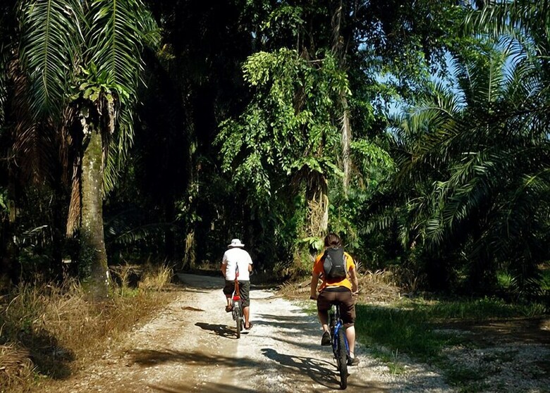 Hostal Gopeng Guesthouse & Cafe - Hostel