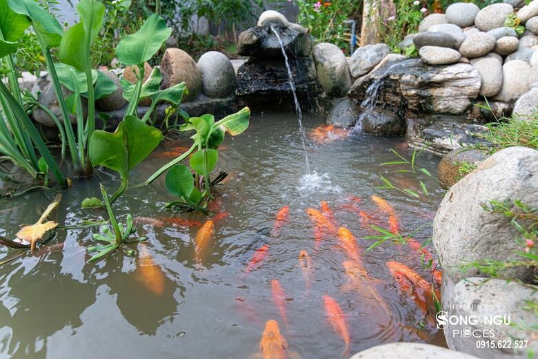 Hotel Homestay Songngu Pisces