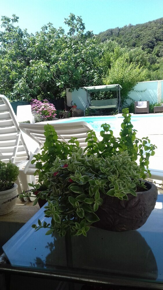Apartments Gavacic
