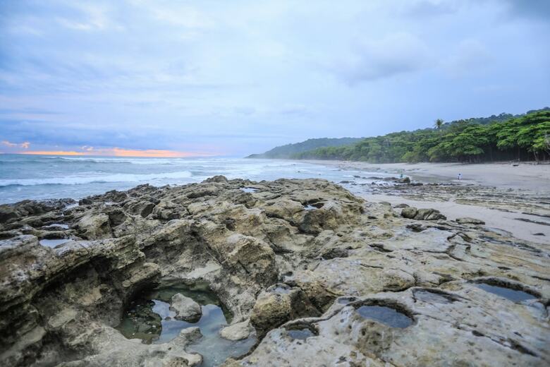 Hotel Nekaui Beachside Villa 3 - Experience Nature