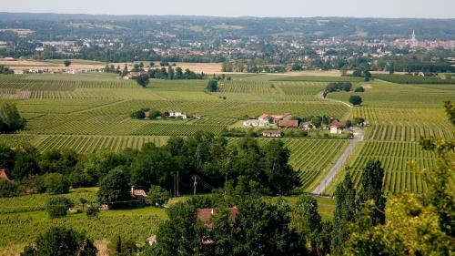 Bed & Breakfast Chambre D'h�tes De La Grappe D'or