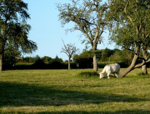 Bed & Breakfast Domaine de La Fromagerie
